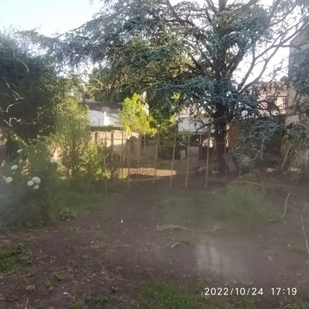 Venta lote con casa y departamento a reciclar/demoler, cerca al Parque Saavedra. La Plata.