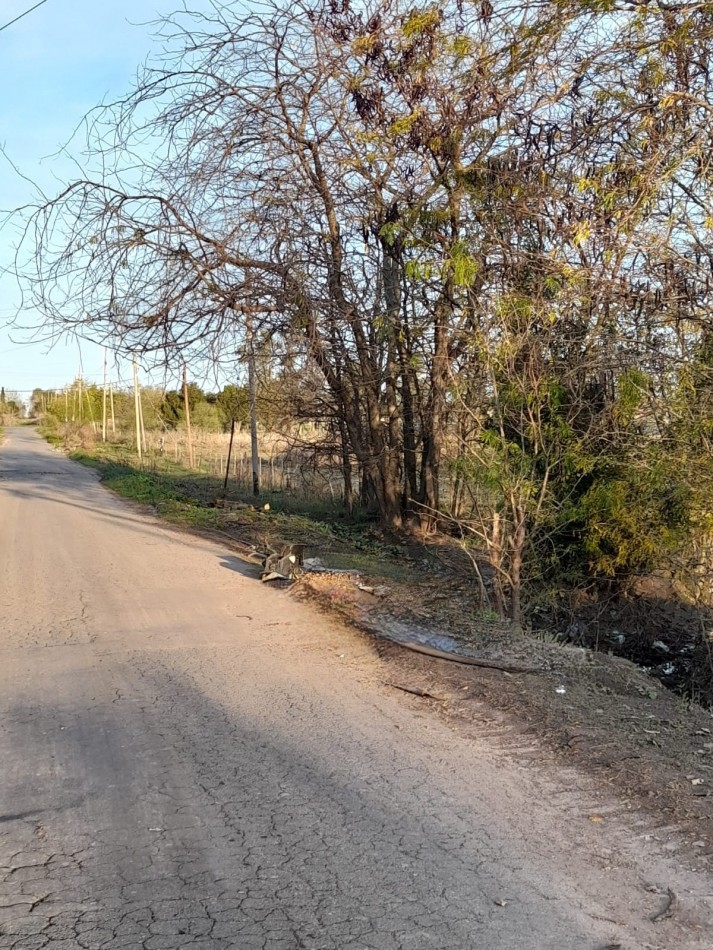 Venta de hectareas en Los Hornos en Avenida 60 