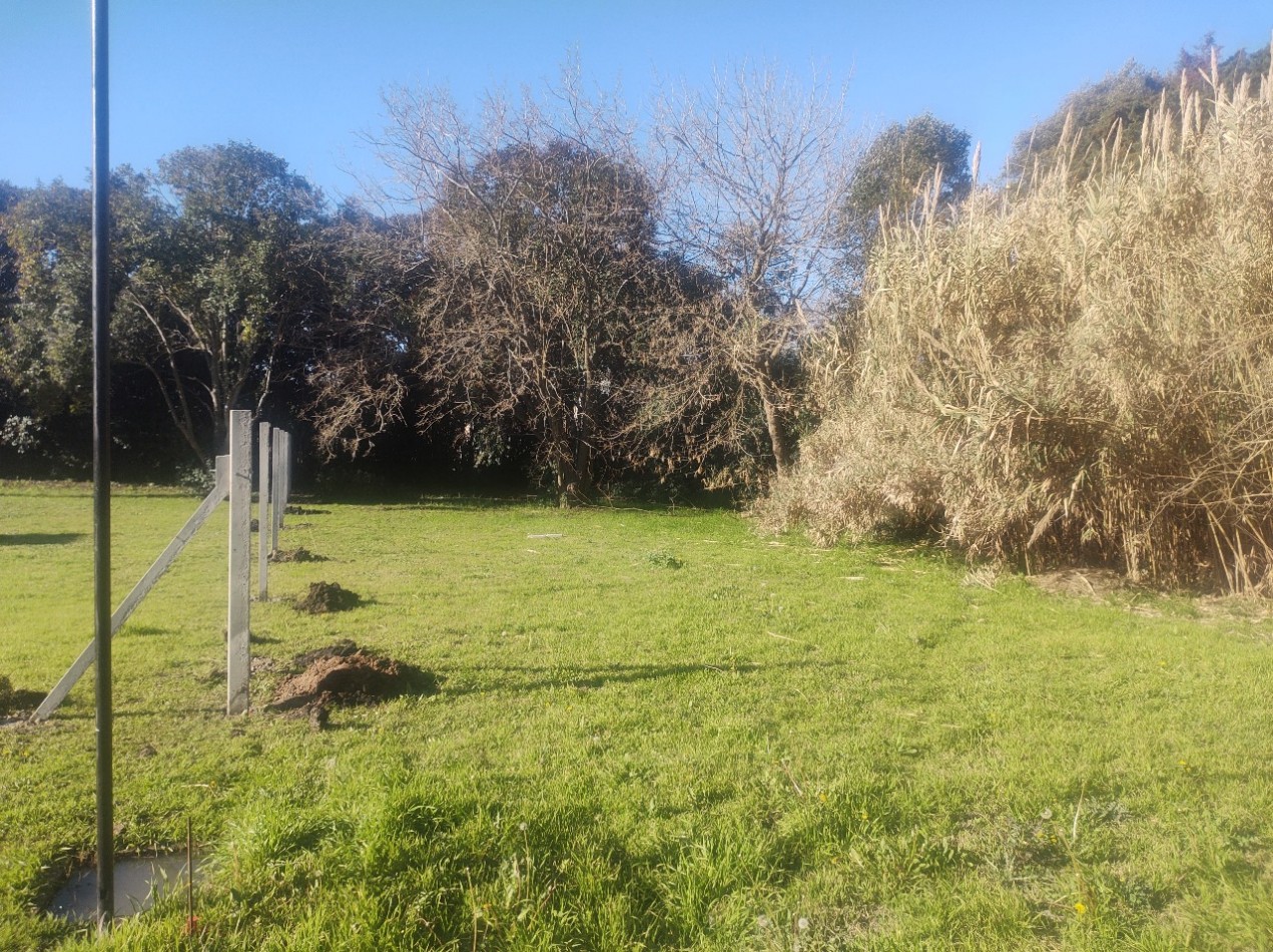 VENTA de Lote en barrio cerrado Las Lambertianas.