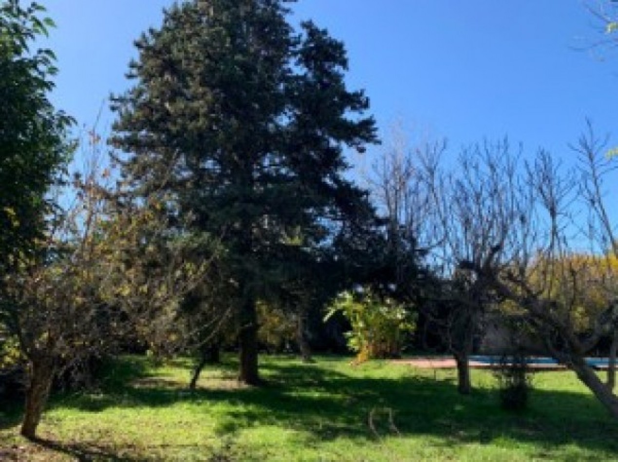 VENTA, de fraccion de cuatro lotes con casa y pileta en Arturo Segui.